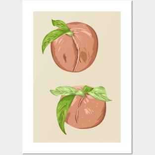 Peach Botanical Posters and Art
